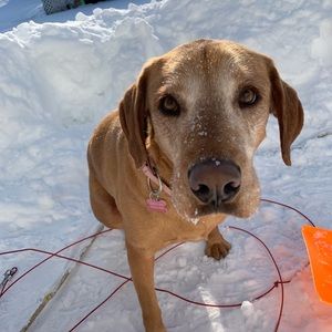 Meet your Posher, Amélie